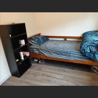 Cho share single room 10 phút tới Bankstown by bus